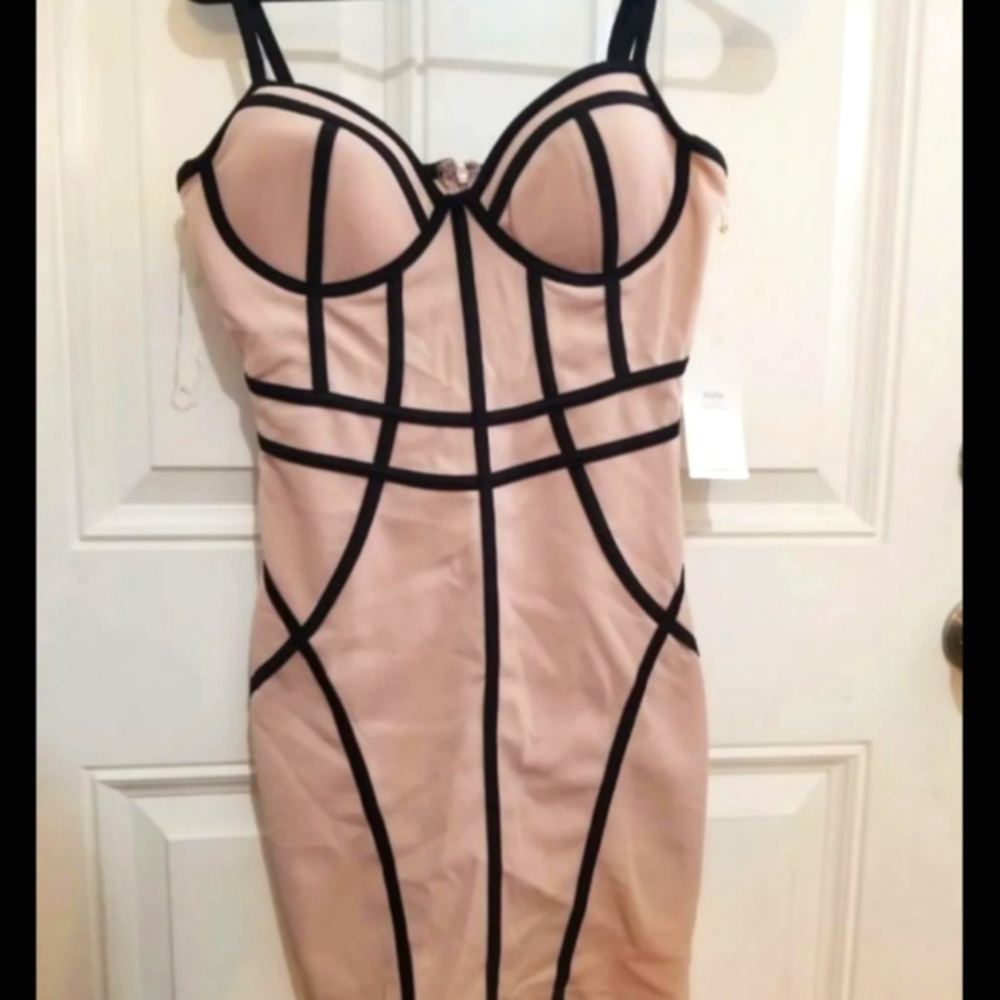 Blashe sexy lace  stretch dress